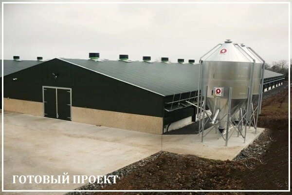Этапы возведения птицефабрики от завода ВелесТент-нвм